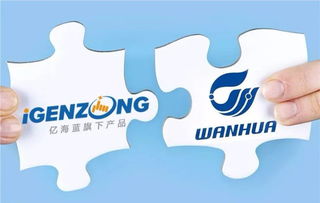 萬華與億海藍聯手打造可視化物流，開創數字供應鏈管理新篇章